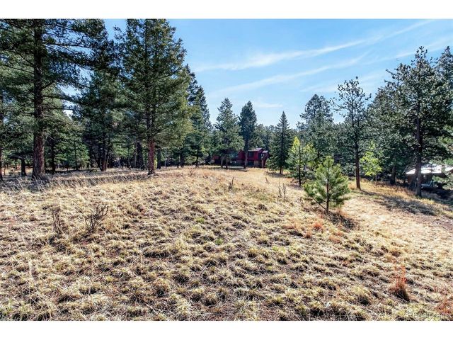 55 Ponderosa Ln, Woodland Park, CO 80863