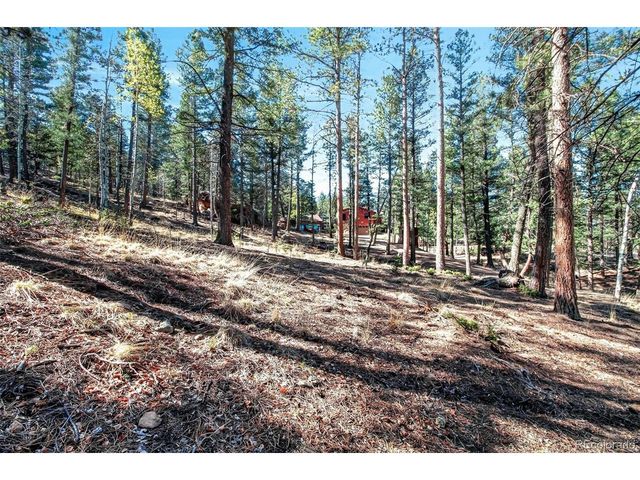 55 Ponderosa Ln, Woodland Park, CO 80863