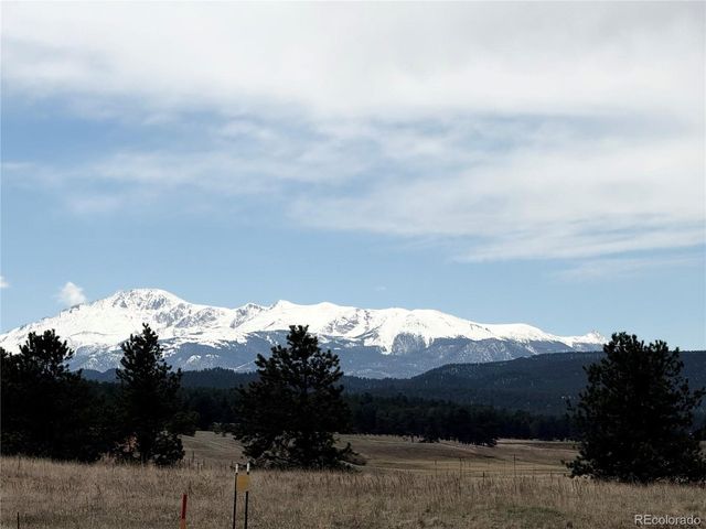 55 Ponderosa Ln, Woodland Park, CO 80863