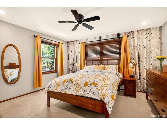 55 Ponderosa Ln, Woodland Park, CO 80863