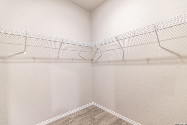 1123 Thea Cv, New Braunfels, TX 78130