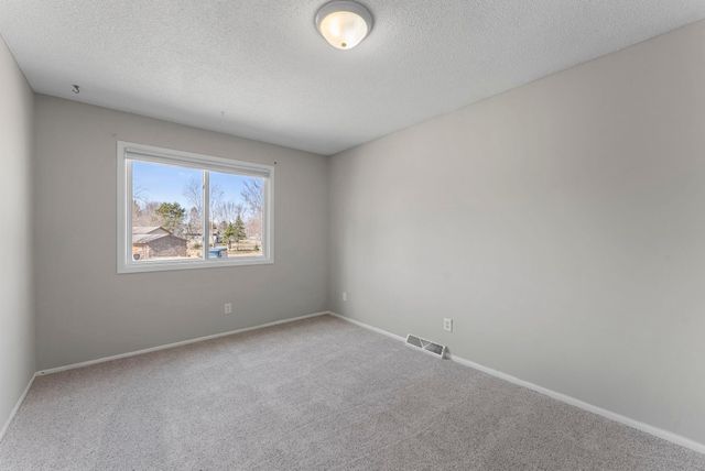 16317 Isanti Street NE, Andover, MN 55304