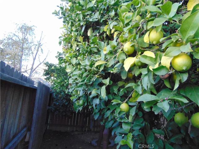 33763 Noreen, Yucaipa, CA 92399