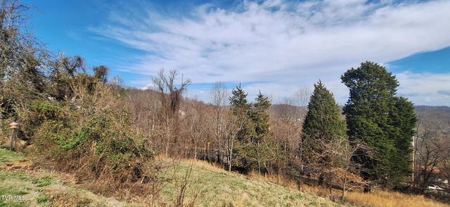 4197 Skyland Drive, Kingsport, TN 37664