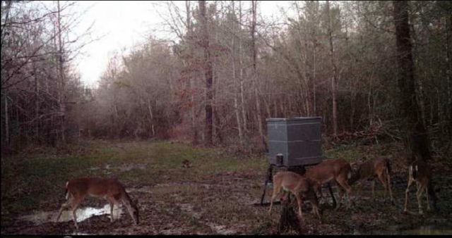 246 County Road 385 Road, Cleveland, TX 77328