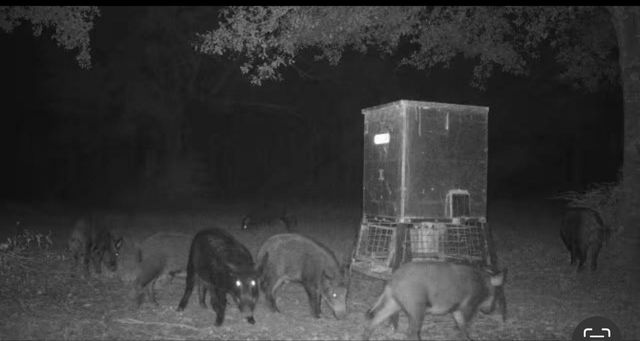 246 County Road 385 Road, Cleveland, TX 77328