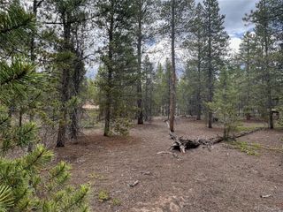 284 Fir Drive, Twin Lakes, CO 80461