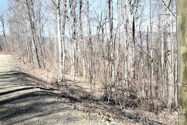 000 Curry Comb Trail 513, Waynesville, NC 28785