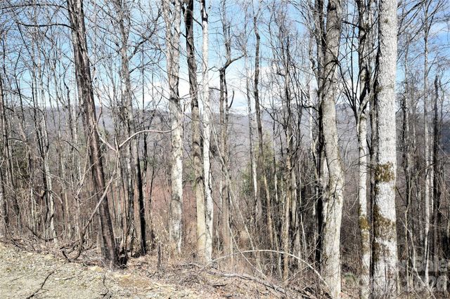 000 Curry Comb Trail 513, Waynesville, NC 28785