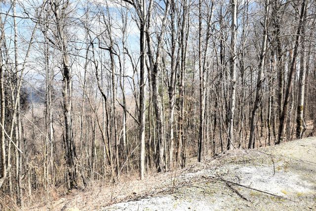 000 Curry Comb Trail 513, Waynesville, NC 28785