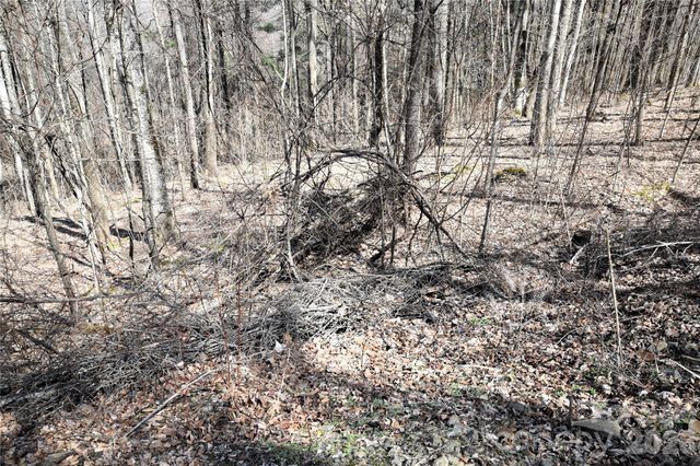 000 Curry Comb Trail 513, Waynesville, NC 28785