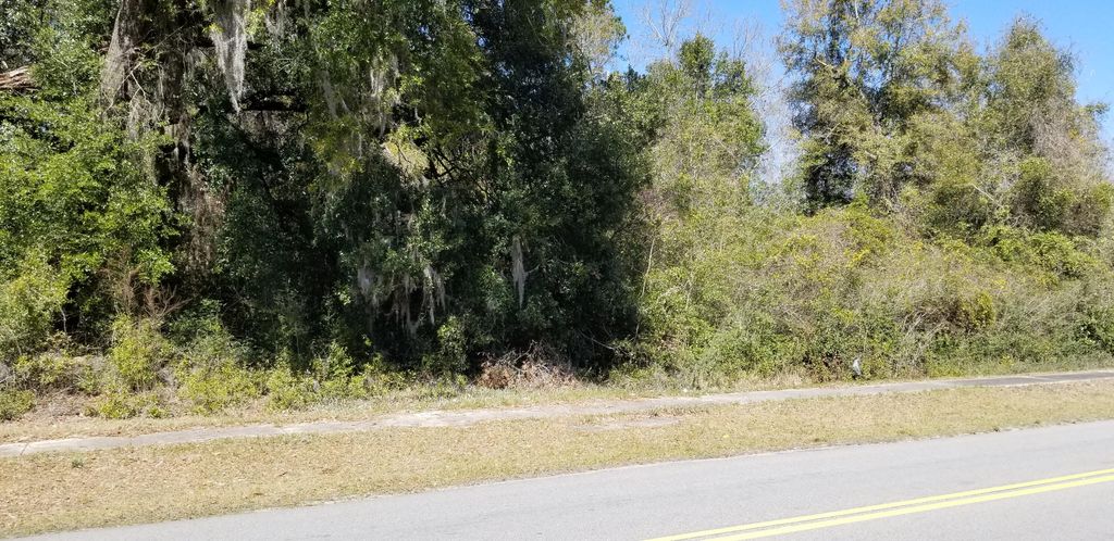 0000 N Lemacks Street, Walterboro, SC 29488