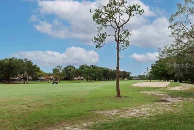 1352 AUGUSTA NATIONAL BOULEVARD, Winter Springs, FL 32708