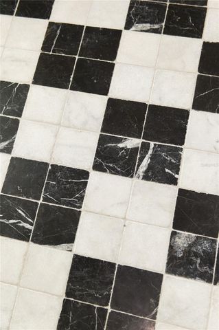 4614 TENNYSON, Tampa, FL 33629