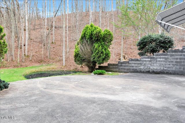 1296 Mountain View Road, Rogersville, TN 37857
