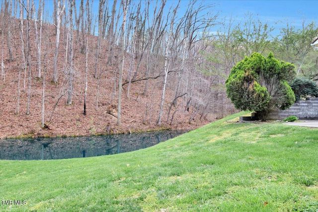 1296 Mountain View Road, Rogersville, TN 37857