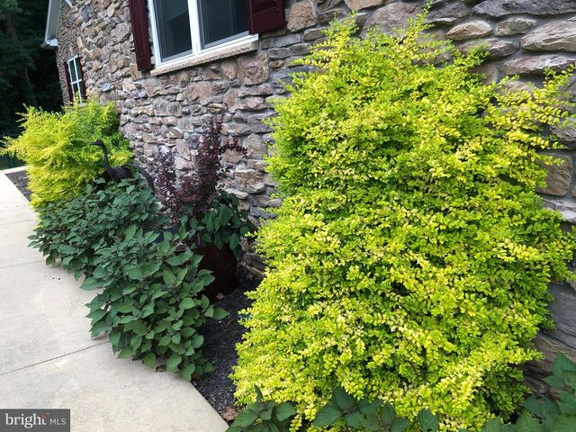 7206 DROUGHT SPRING DR, Frederick, MD 21702