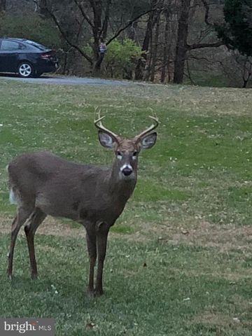 7206 DROUGHT SPRING DR, Frederick, MD 21702