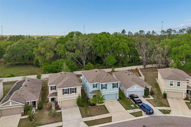 9124 WATER CHESTNUT DRIVE, Temple Terrace, FL 33637