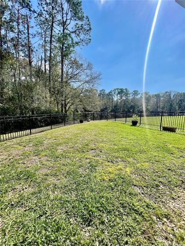 13261 ROYAL GEORGE AVENUE, Odessa, FL 33556