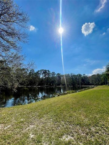 13261 ROYAL GEORGE AVENUE, Odessa, FL 33556