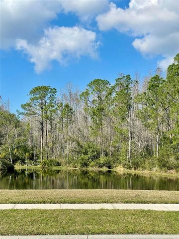 13261 ROYAL GEORGE AVENUE, Odessa, FL 33556