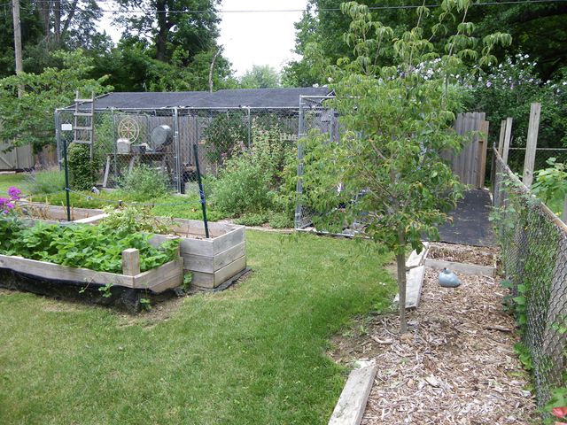 1443 E Berkeley Street, Springfield, MO 65804