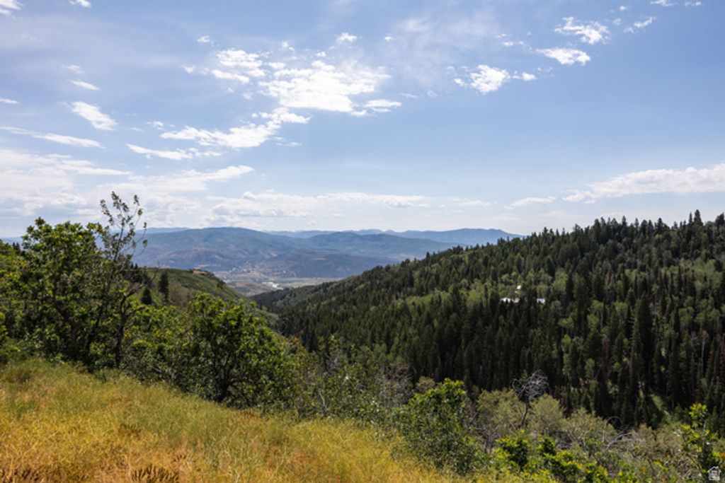 2051 S PINE MEADOW DR # 138B, Coalville, UT 84017 — photo 3