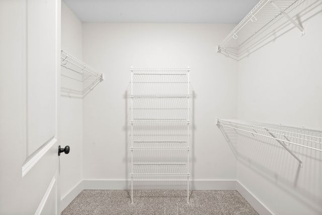 193 Dewberry Ct, Clarksville, TN 37042