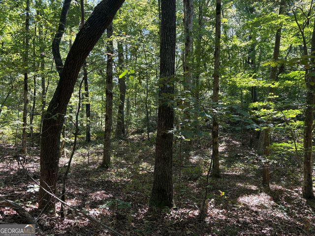 29A Hillstead Trace, Ellijay, GA 30540
