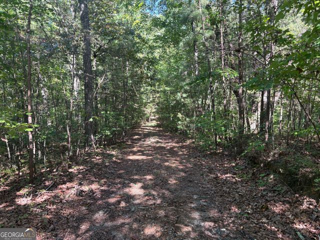 29A Hillstead Trace, Ellijay, GA 30540