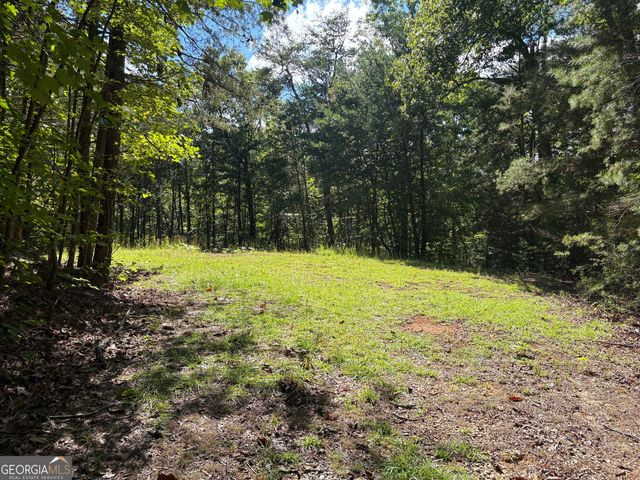 29A Hillstead Trace, Ellijay, GA 30540