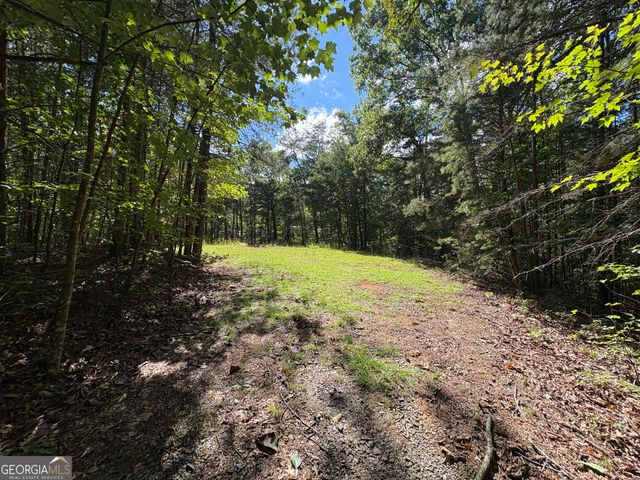 29A Hillstead Trace, Ellijay, GA 30540