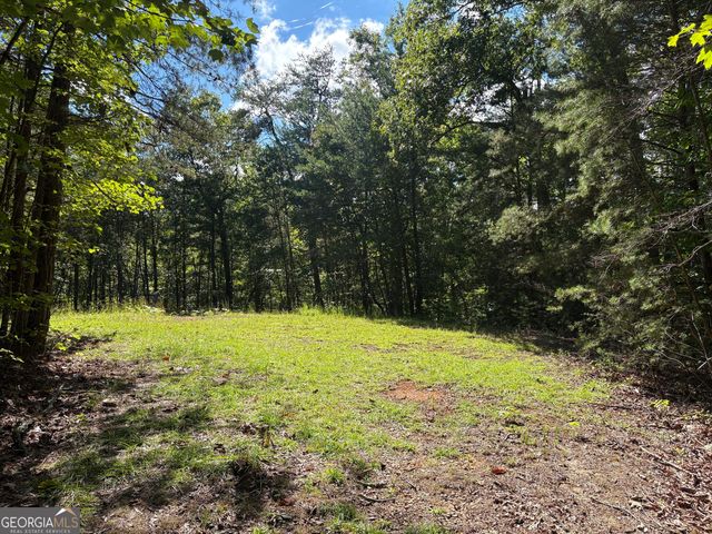 29A Hillstead Trace, Ellijay, GA 30540