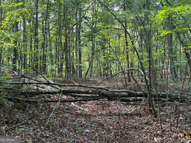 29A Hillstead Trace, Ellijay, GA 30540