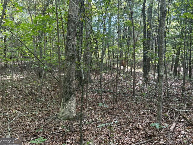 29A Hillstead Trace, Ellijay, GA 30540