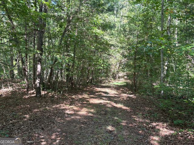 29A Hillstead Trace, Ellijay, GA 30540