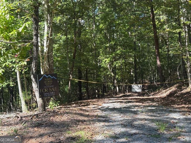 29A Hillstead Trace, Ellijay, GA 30540