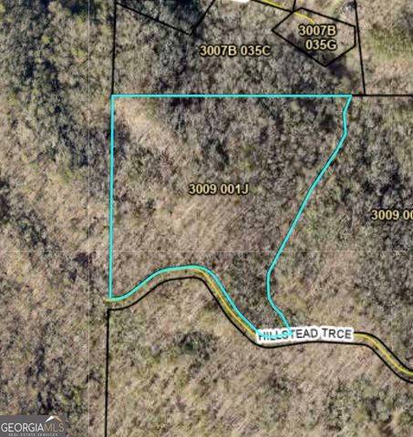 29A Hillstead Trace, Ellijay, GA 30540