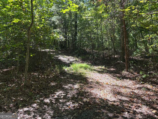 29A Hillstead Trace, Ellijay, GA 30540