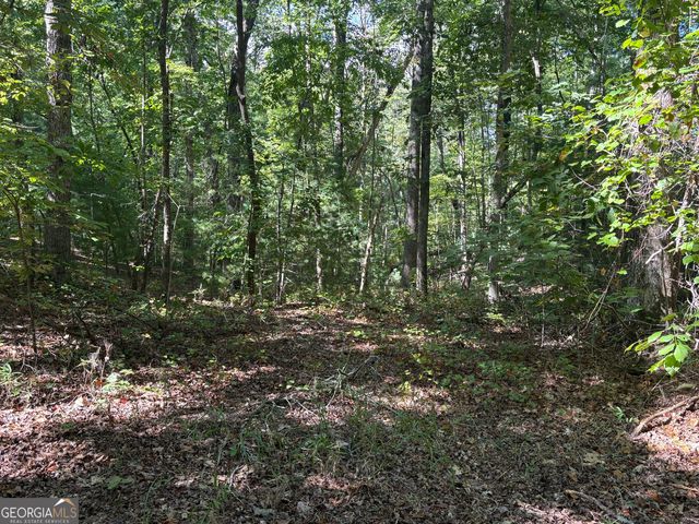 29A Hillstead Trace, Ellijay, GA 30540