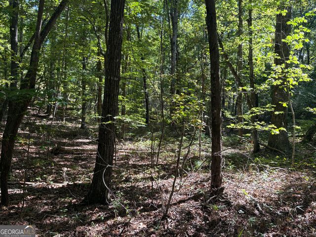 29A Hillstead Trace, Ellijay, GA 30540