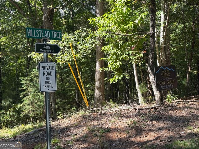 29A Hillstead Trace, Ellijay, GA 30540