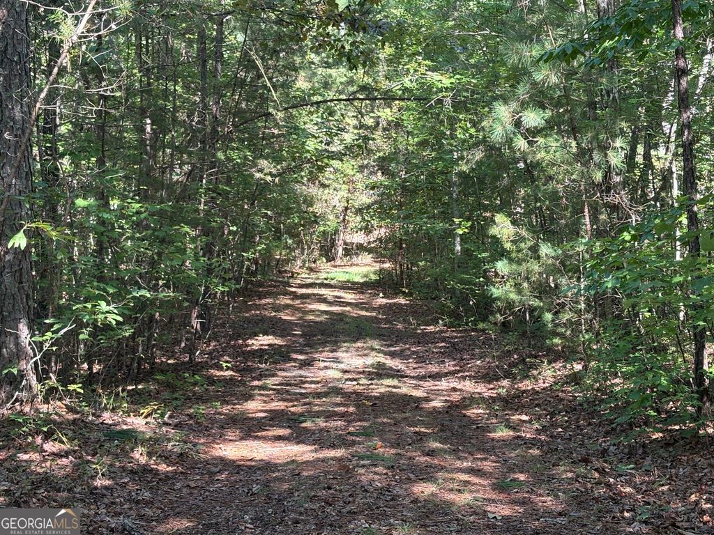 29A Hillstead Trace, Ellijay, GA 30540