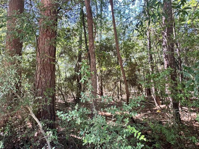 TBD34 Westwood Drive East, Trinity, TX 75862