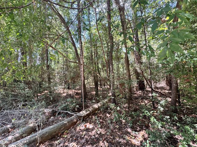 TBD34 Westwood Drive East, Trinity, TX 75862
