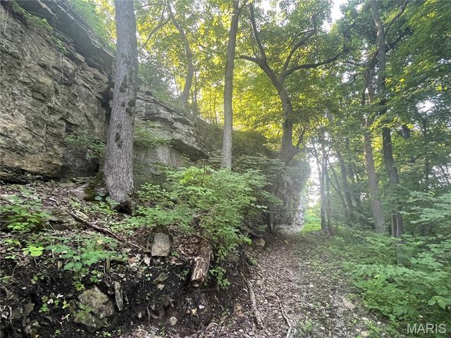 4015 Pike 9140, Louisiana, MO 63353