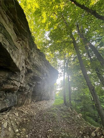 4015 Pike 9140, Louisiana, MO 63353