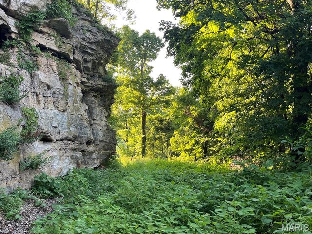 4015 Pike 9140, Louisiana, MO 63353