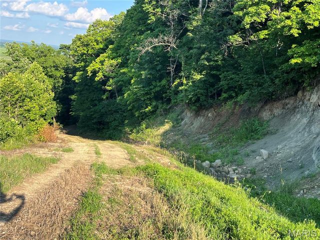 4015 Pike 9140, Louisiana, MO 63353